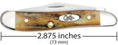 Case Knife Genuine Stag Peanut (5220 SS)