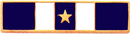 Years of Service Recognition Bar w/star in the center section.