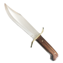 Cocobola Gold Rush Bowie